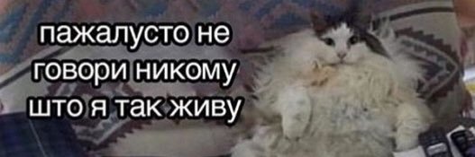nuhzhz's profile banner image