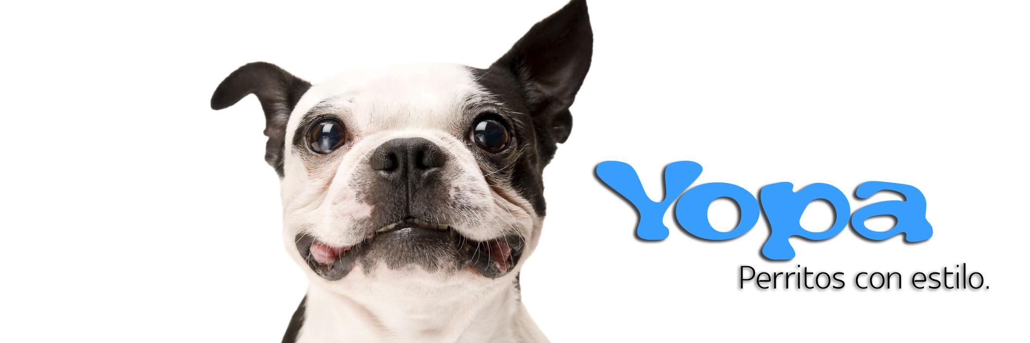 YOPA_DOG's profile banner image