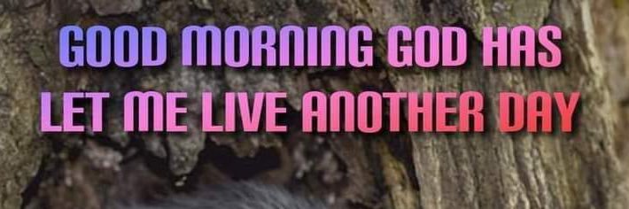 Mongolikebeef's profile banner image