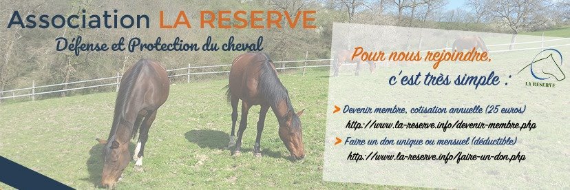 AssoLaReserve's profile banner image