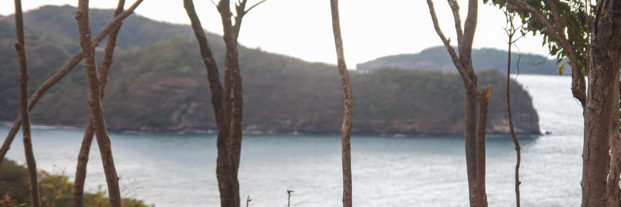 Grachuchu's profile banner image