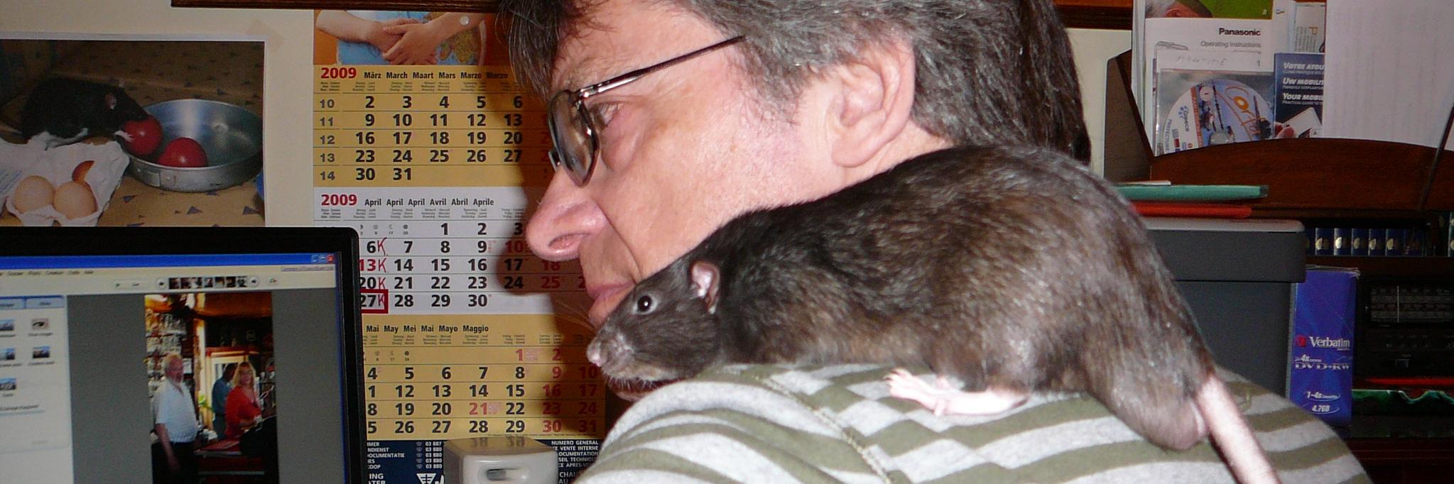 WillemsGodfried's profile banner image