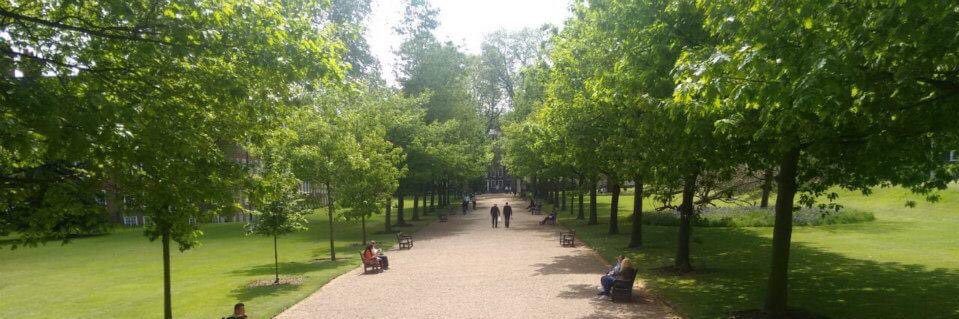 Dr. Preethi LN banner