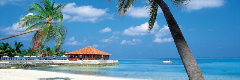 Jeff Griffith banner