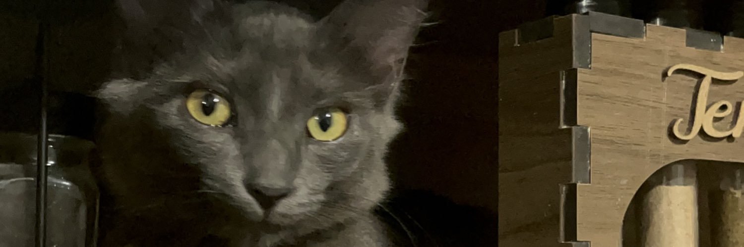 drafi_'s profile banner image