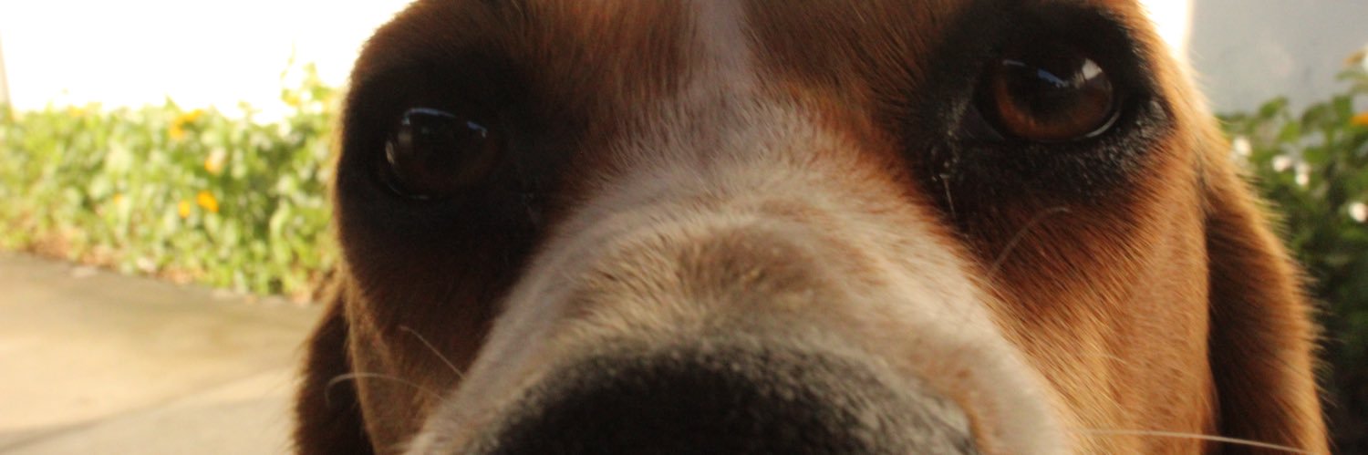 deucedepic's profile banner image