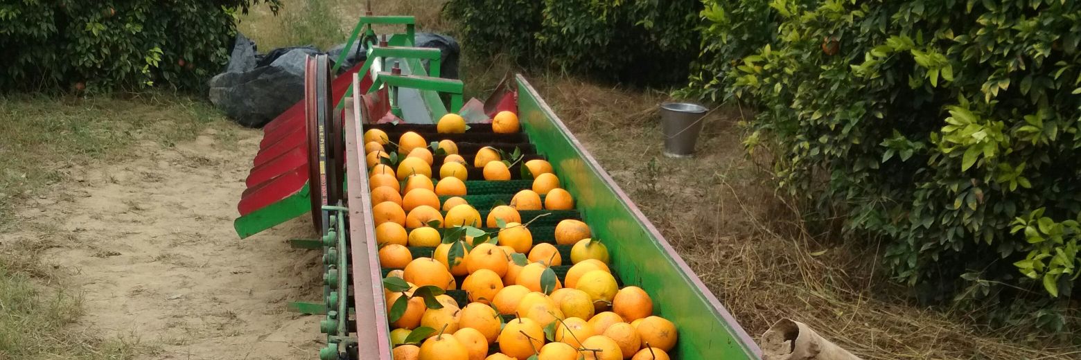 Vishalgodara1's profile banner image