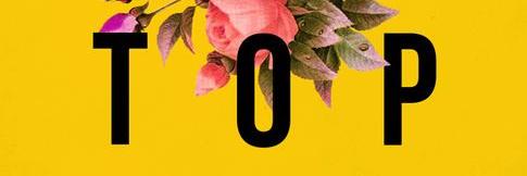 beatriz_n's profile banner image