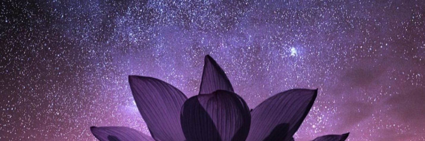 fiorefiore48's profile banner image
