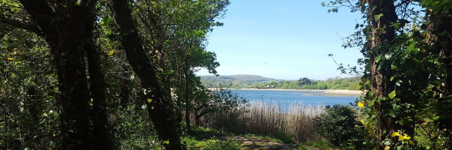 Mark Stringer banner