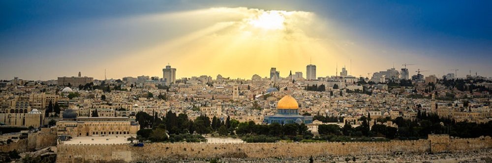 aymanrafati's profile banner image