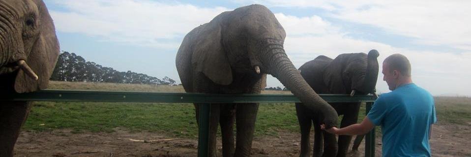 johnny_peeters's profile banner image