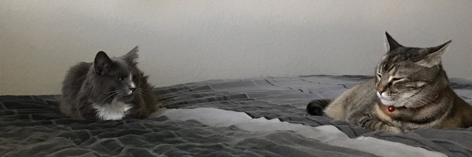 Eygone's profile banner image