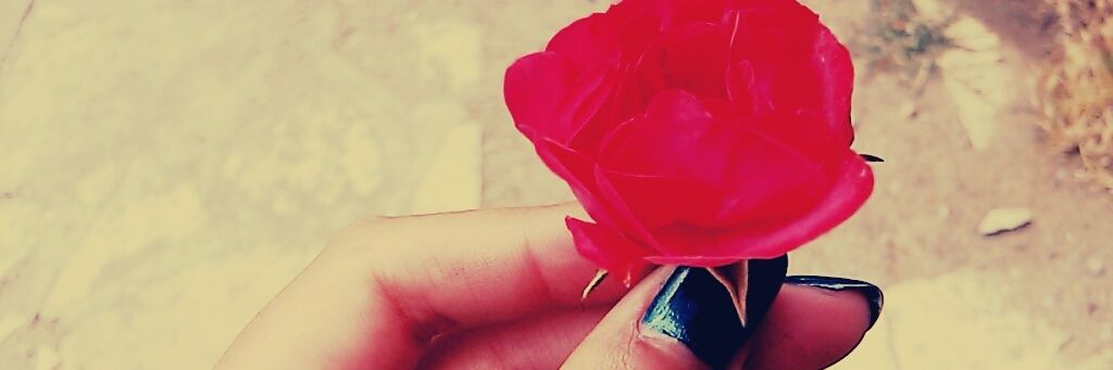 Juli_Lucero_'s profile banner image