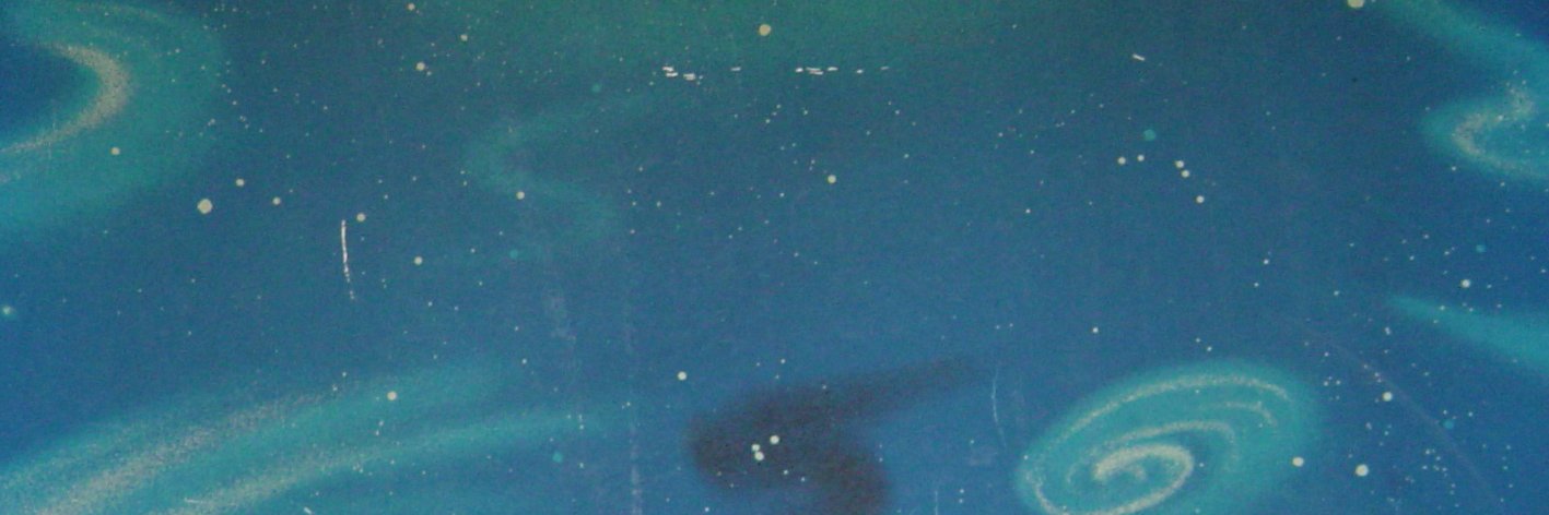 政SW banner