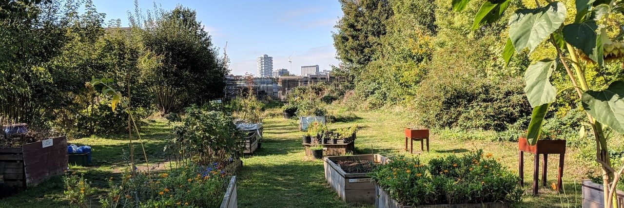 Sean Fitzsimons banner