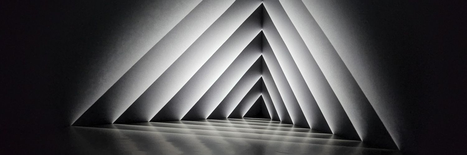 leez_fin's profile banner image