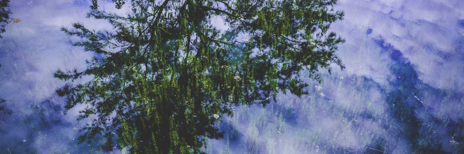 MichaelMich001's profile banner image