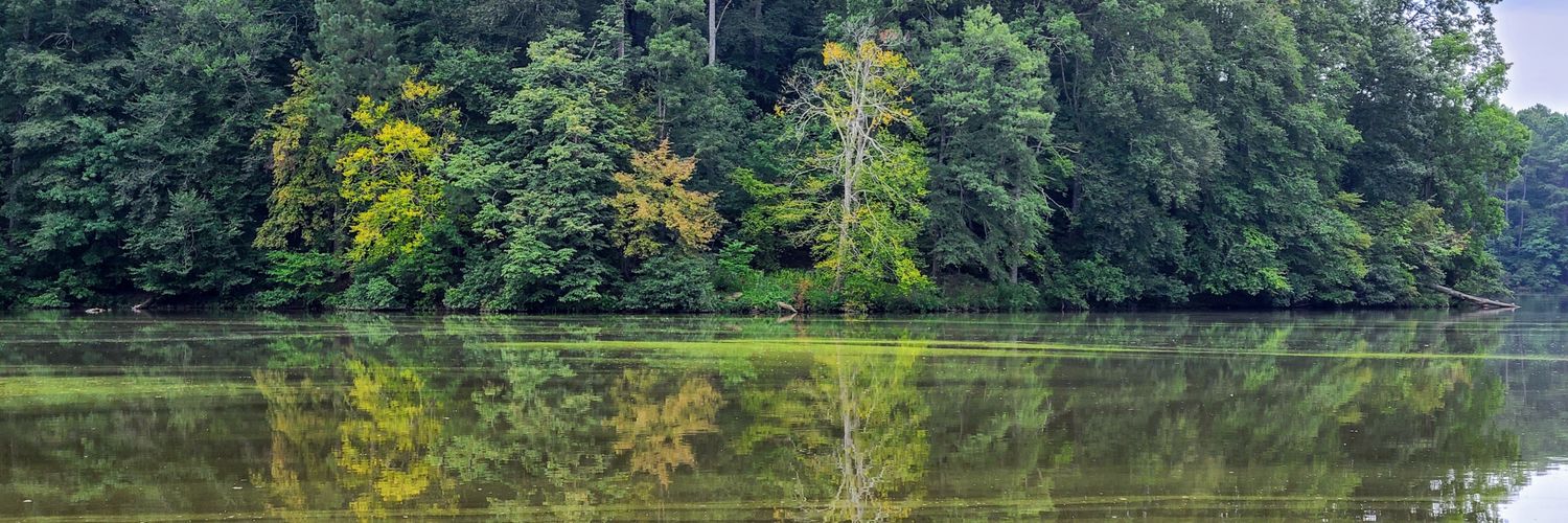 wilkinstweets's profile banner image
