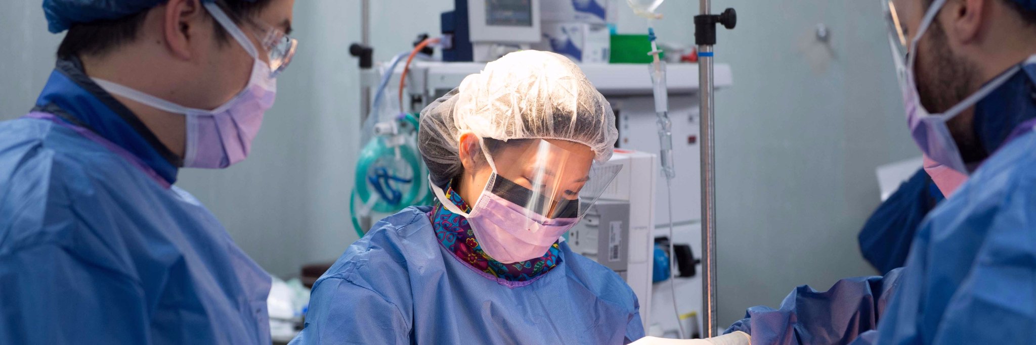 Dr Christine Lai FRACS FACS banner