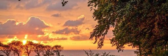 johnmecklenberg's profile banner image