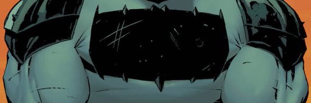 Scott Snyder's banner