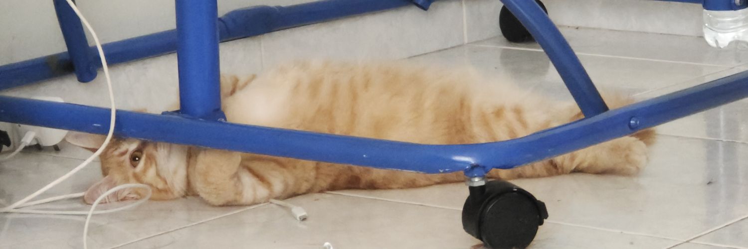 Puterishena's profile banner image