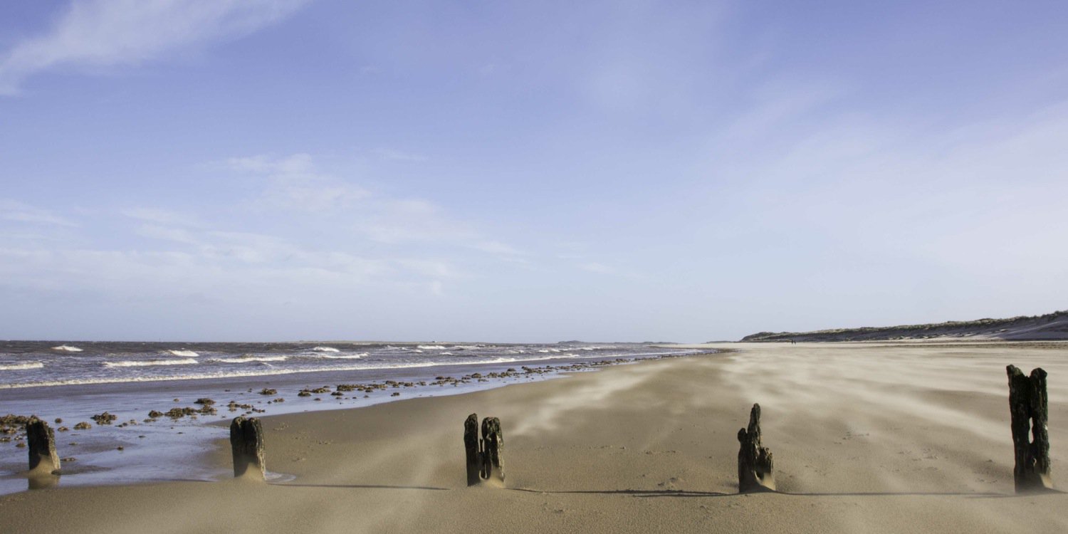 Pebbles® Photography banner
