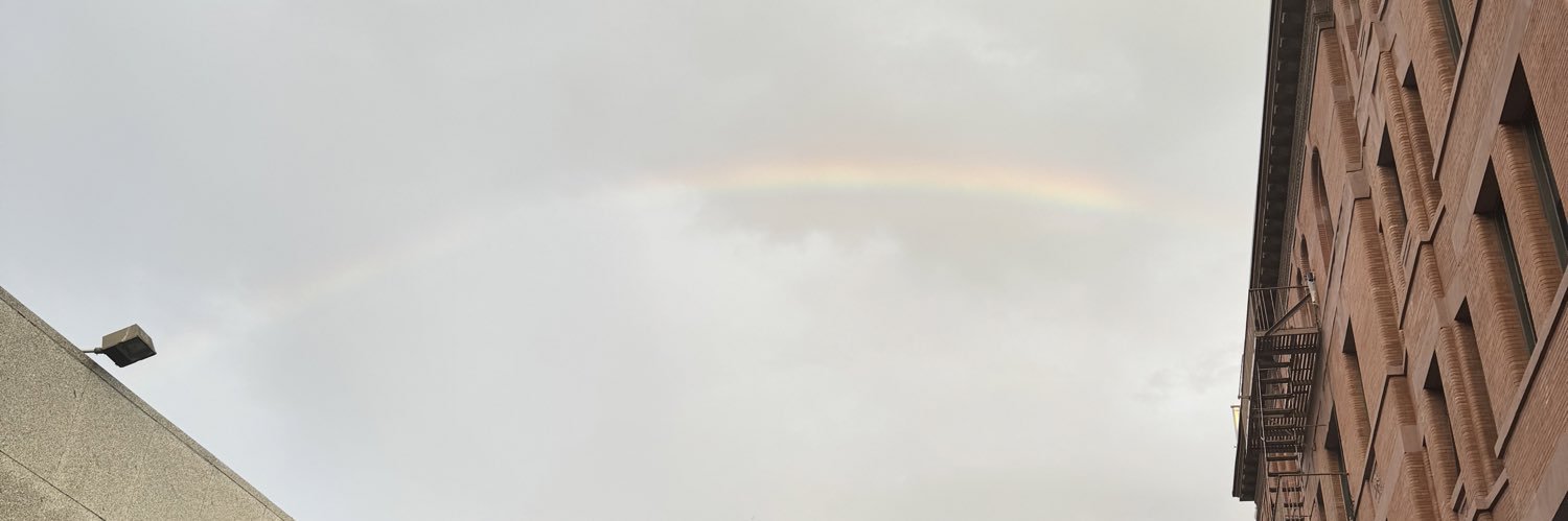 WhoLeeAnn's profile banner image