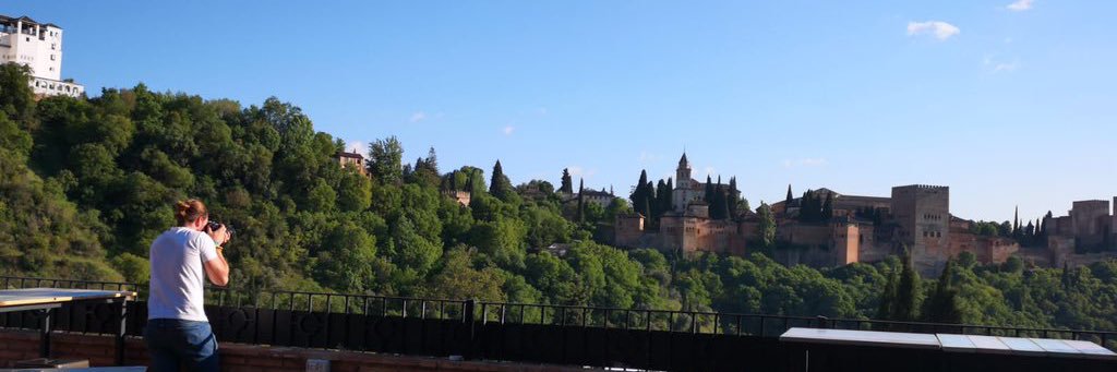 Paco Gómez 𓆉  banner