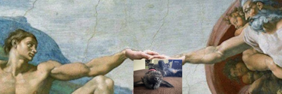 DrDeVaca's profile banner image
