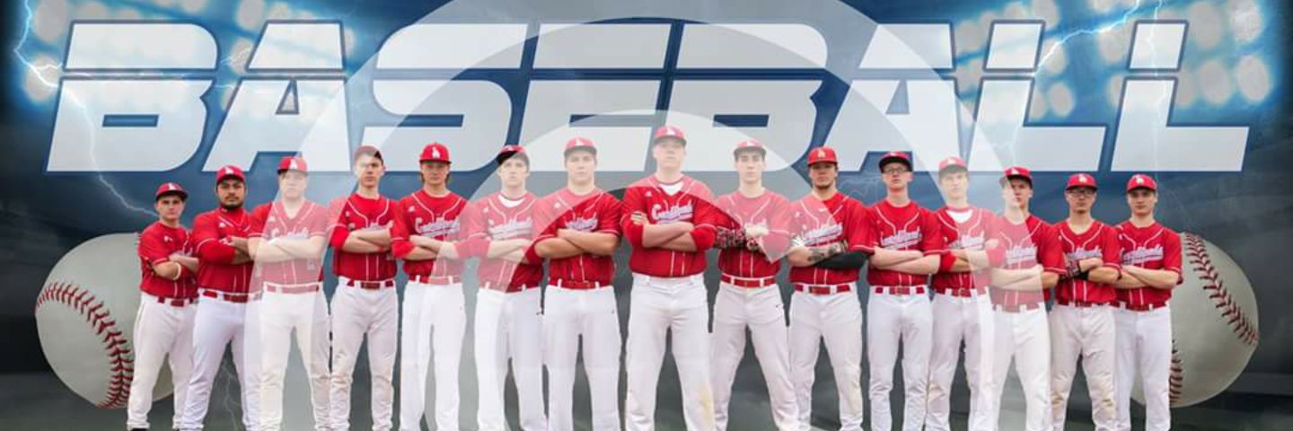 LewiBaseball's profile banner image