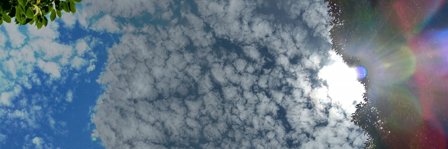Ibara_Win's profile banner image