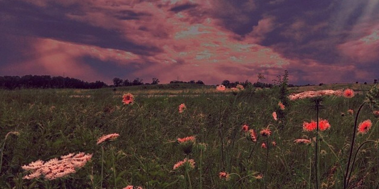 mashael83's profile banner image