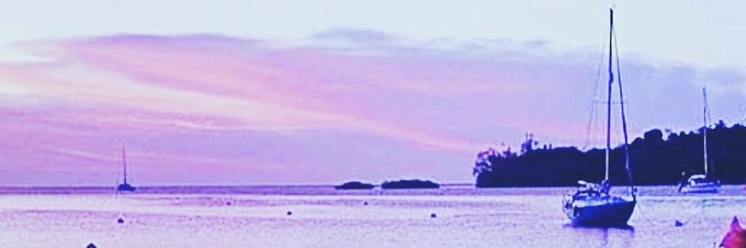 bb_sage's profile banner image