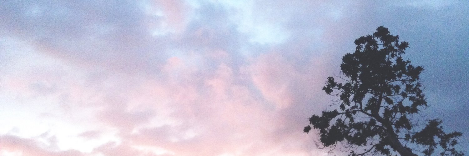 _SMayed's profile banner image