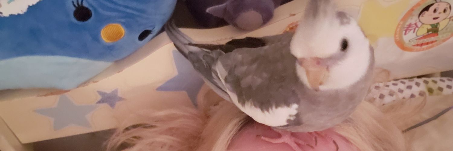 ScreamngMantis's profile banner image
