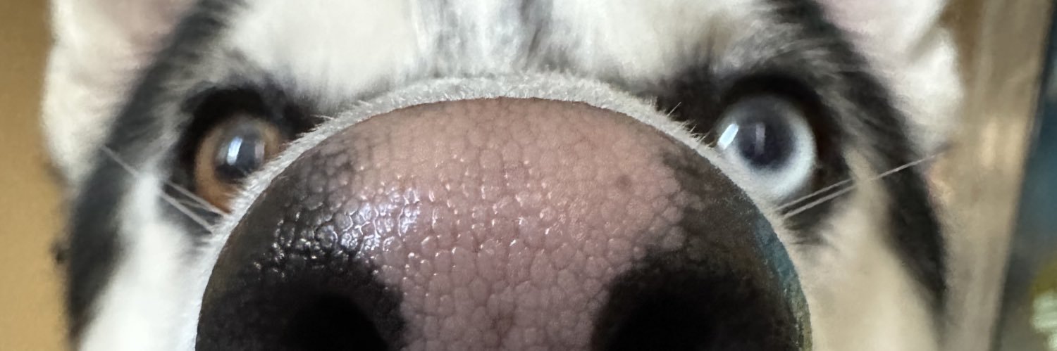 MikerMang's profile banner image