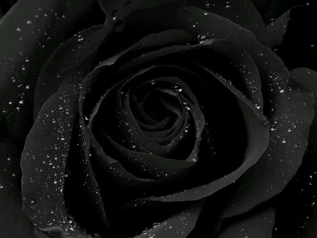 cikaaf's profile banner image