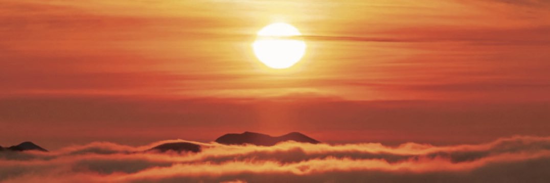 TL1000S_1's profile banner image