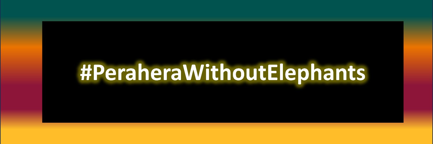 Ness Allan 🐘🐘🐘 banner