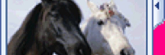 saastis666's profile banner image