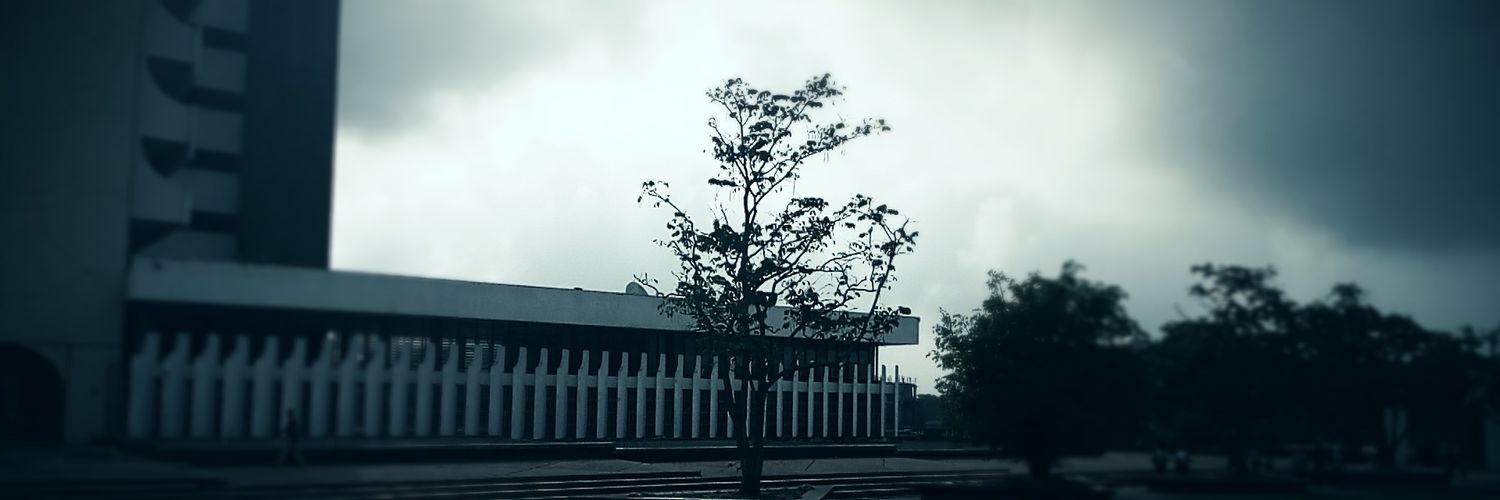 SchwarzMiel's profile banner image