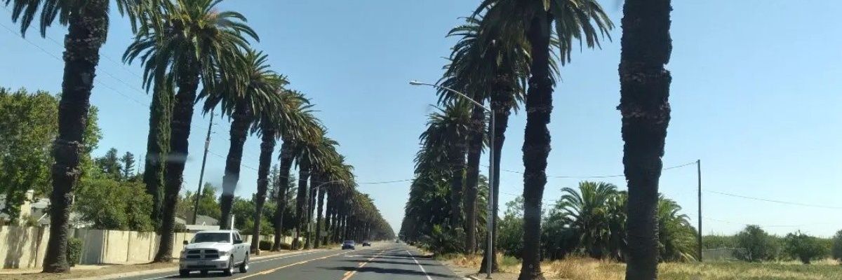 RicksHouseRadio's profile banner image