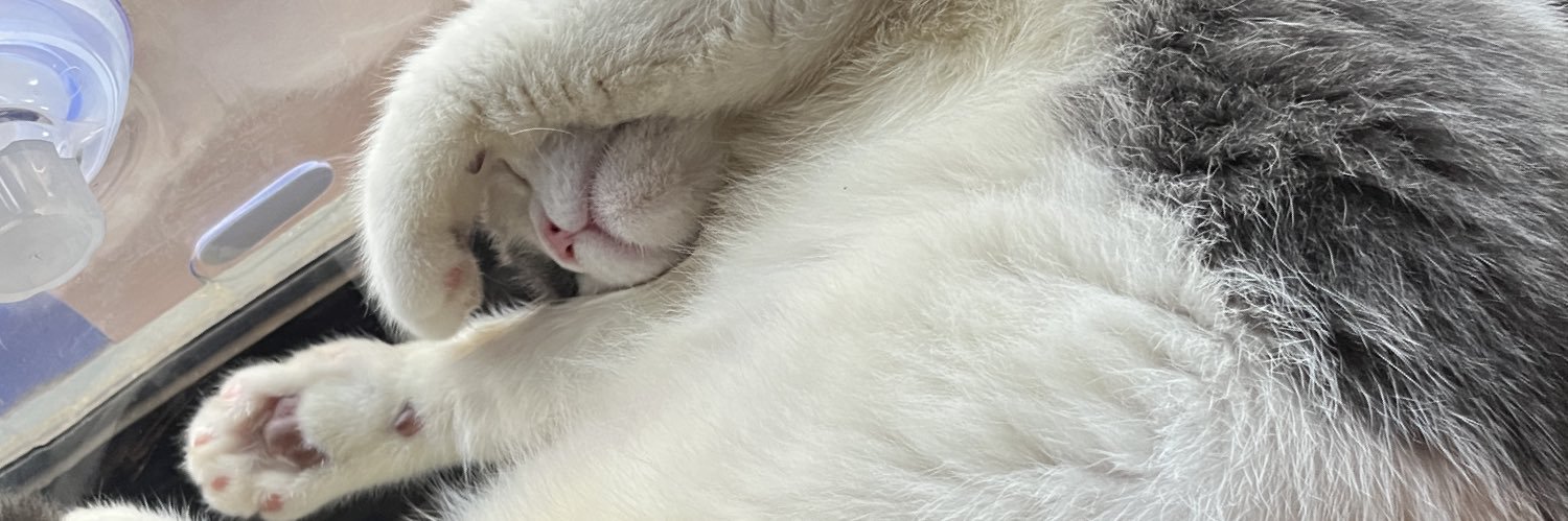 Nim_mp's profile banner image