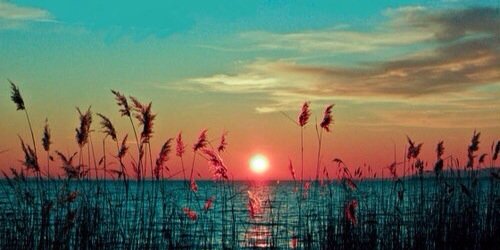 Sarara ☯️ banner