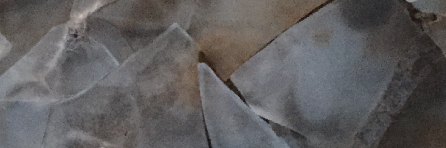 shade_nim's profile banner image