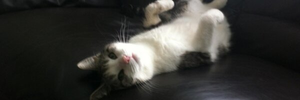 MichelleMurph82 Profile Banner