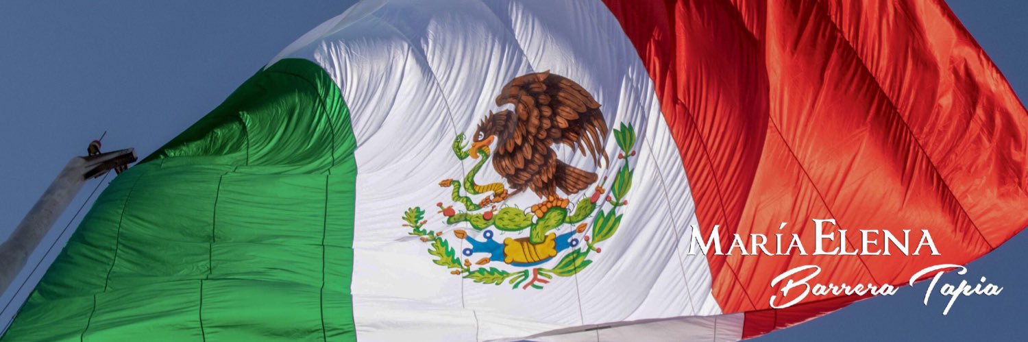 María Elena Barrera banner