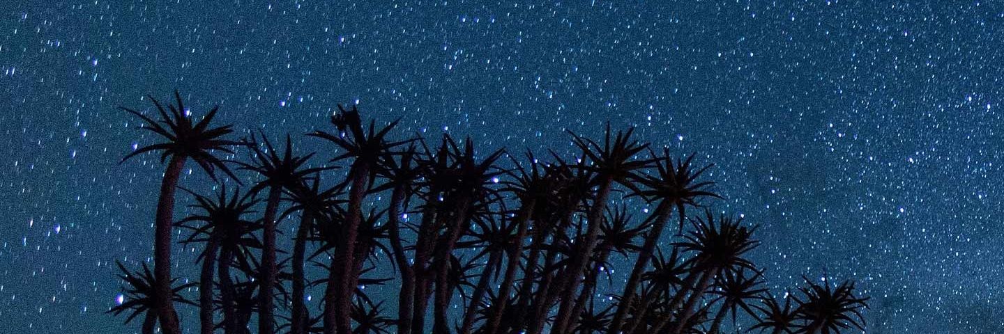 rpsmon's profile banner image